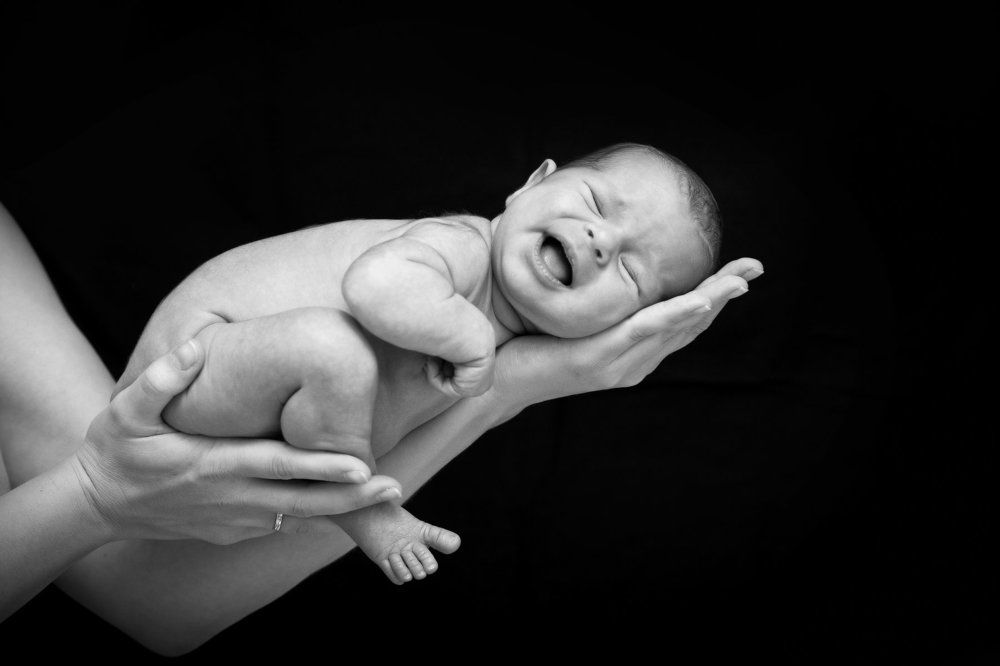 счастье на ладонях