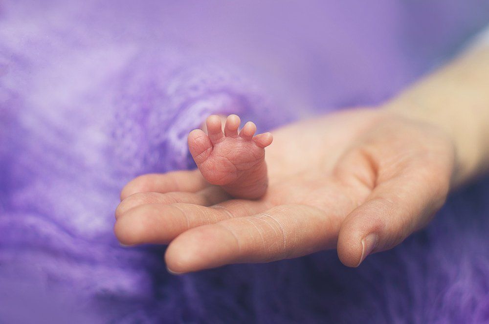 Пятисотграммовый человек