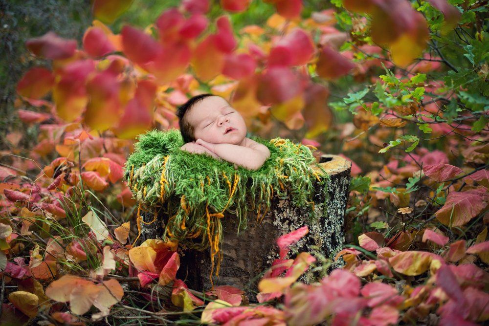 Photograph by Elena Karagyozova