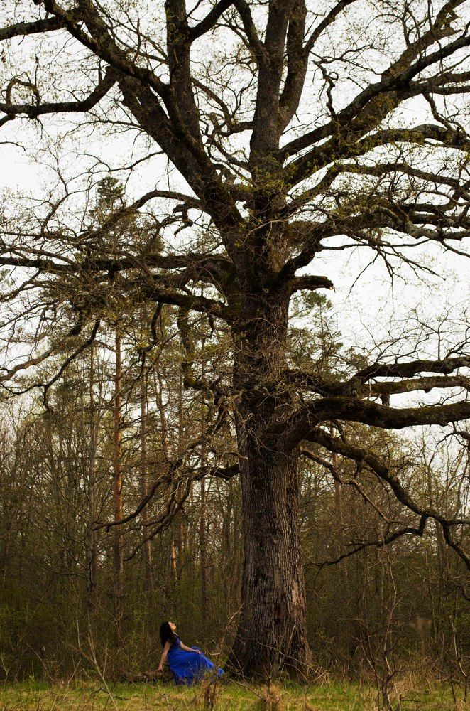 Мистическая сказка