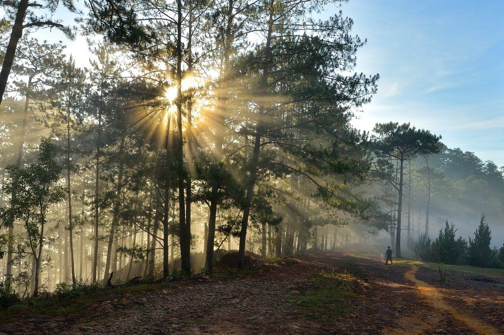 Photograph by Phuot Tran