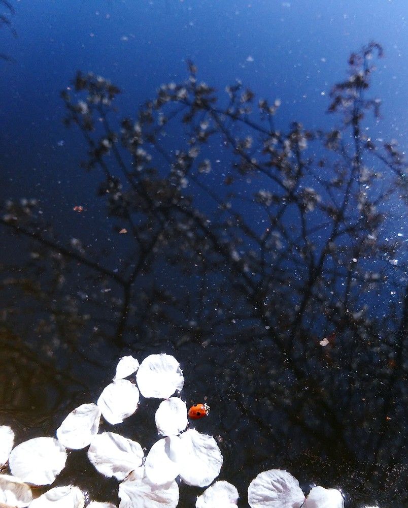 Весенние мотивы