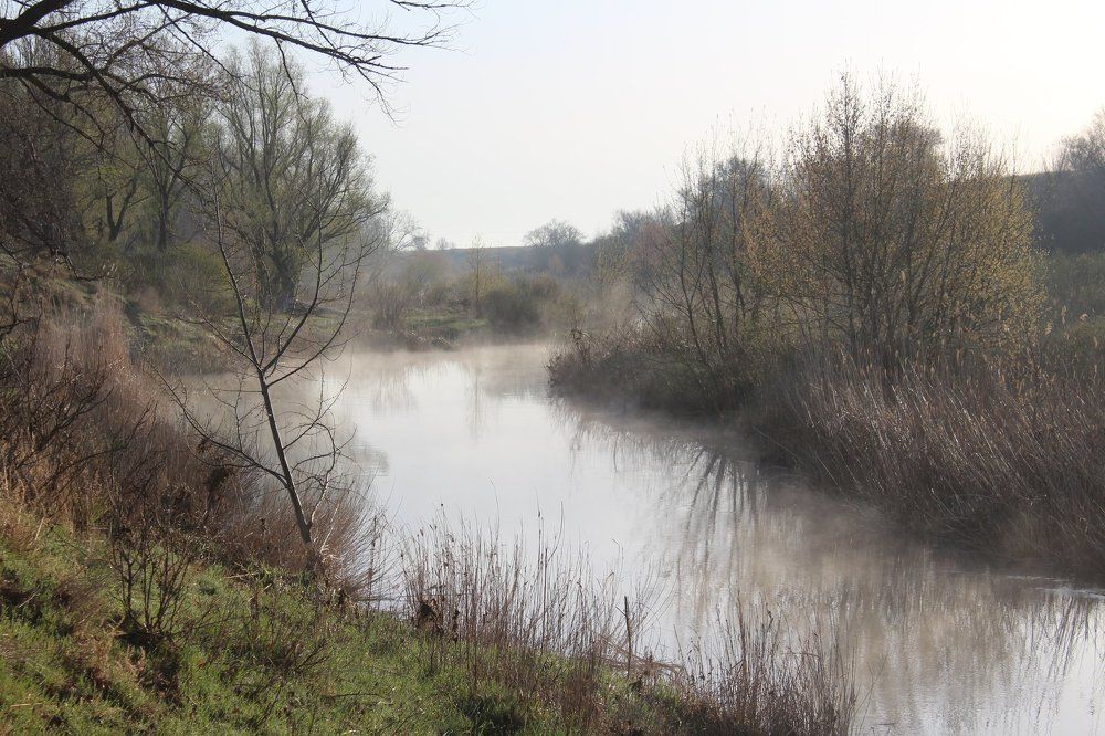 ранним утром на реке
