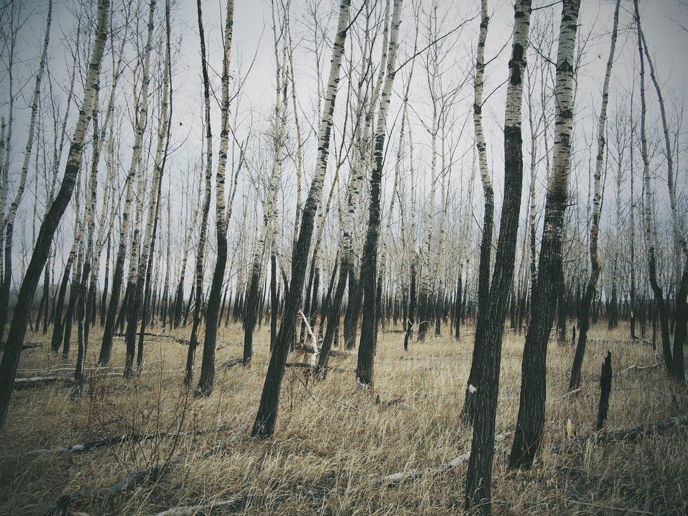 Апрельский день