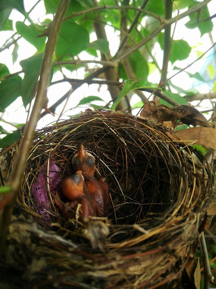 Within seconds of a new chapter