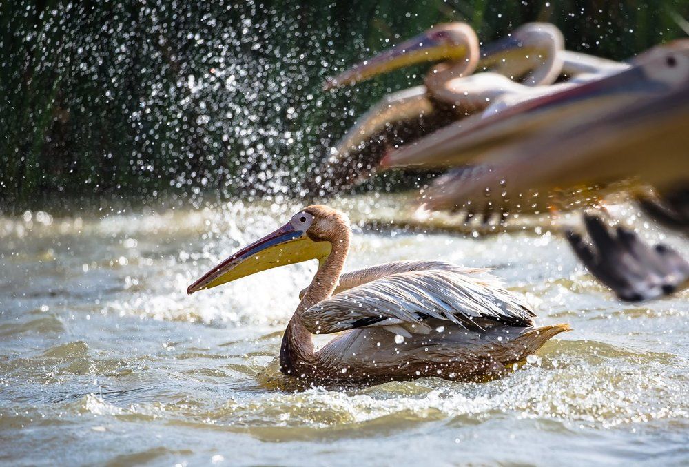 Photograph by Горбунова Валерия Николаевна