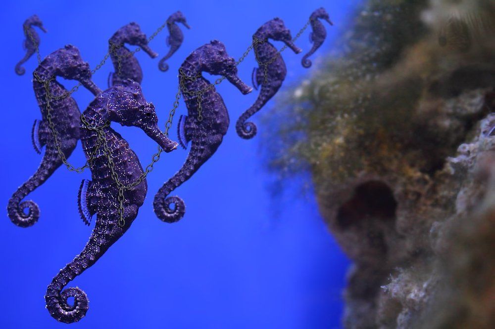 Мы не рабы, рабы не мы...