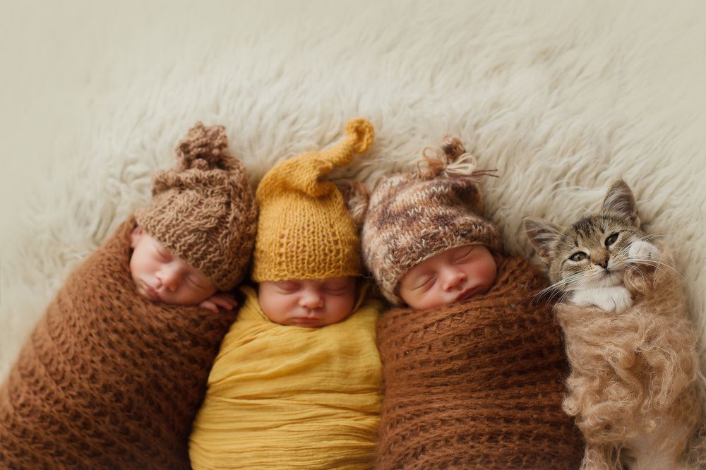 Четыре малыша