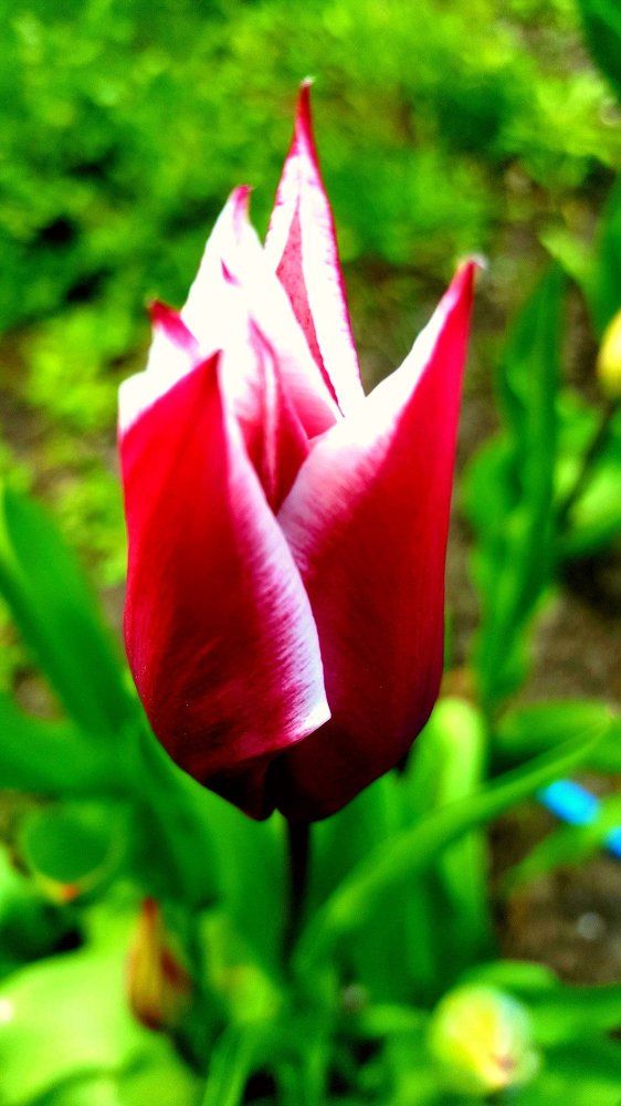 Весна пришла.