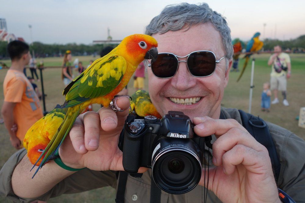 Caressed by  parrots