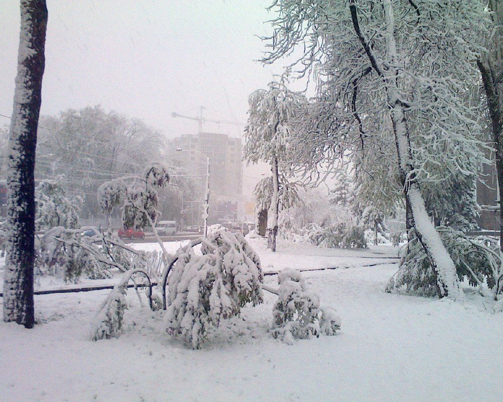 "апрельский   сюрприз"