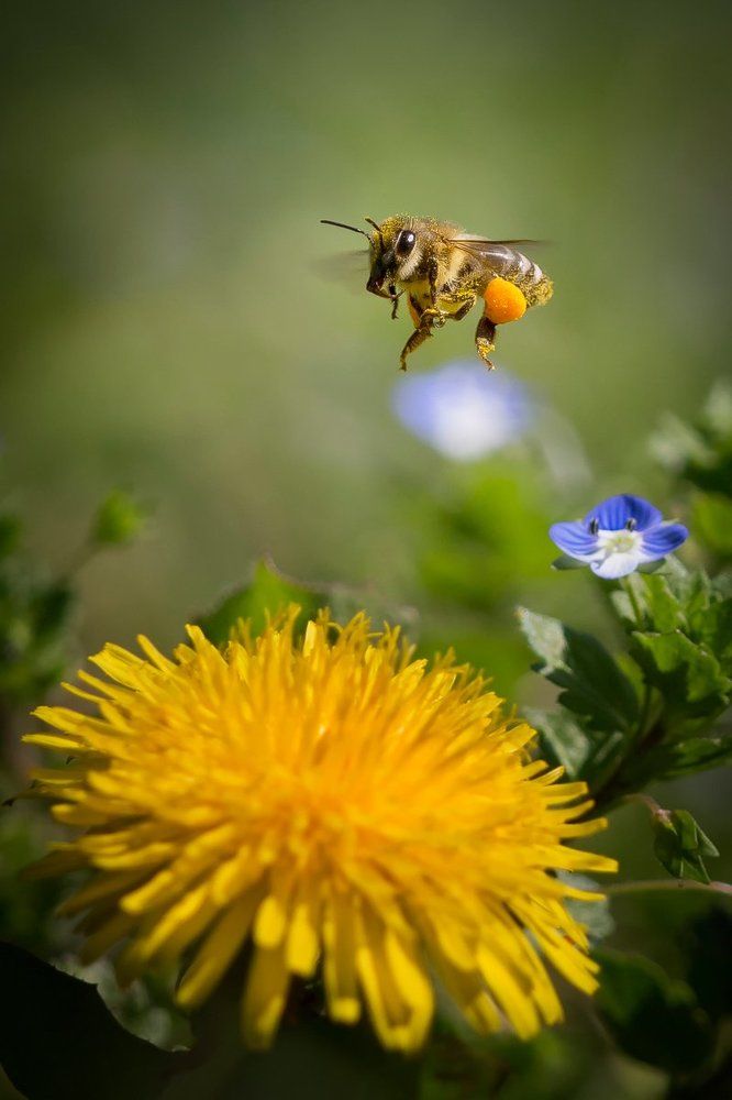 Photograph by Nicolae Fanurie Chirobocea