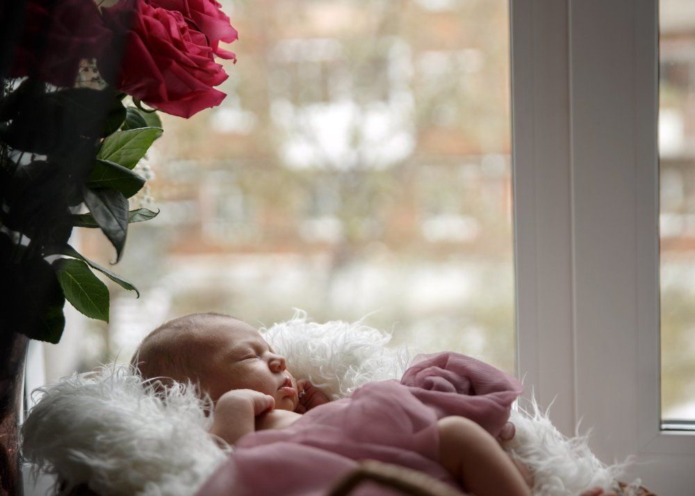 Розы на окне