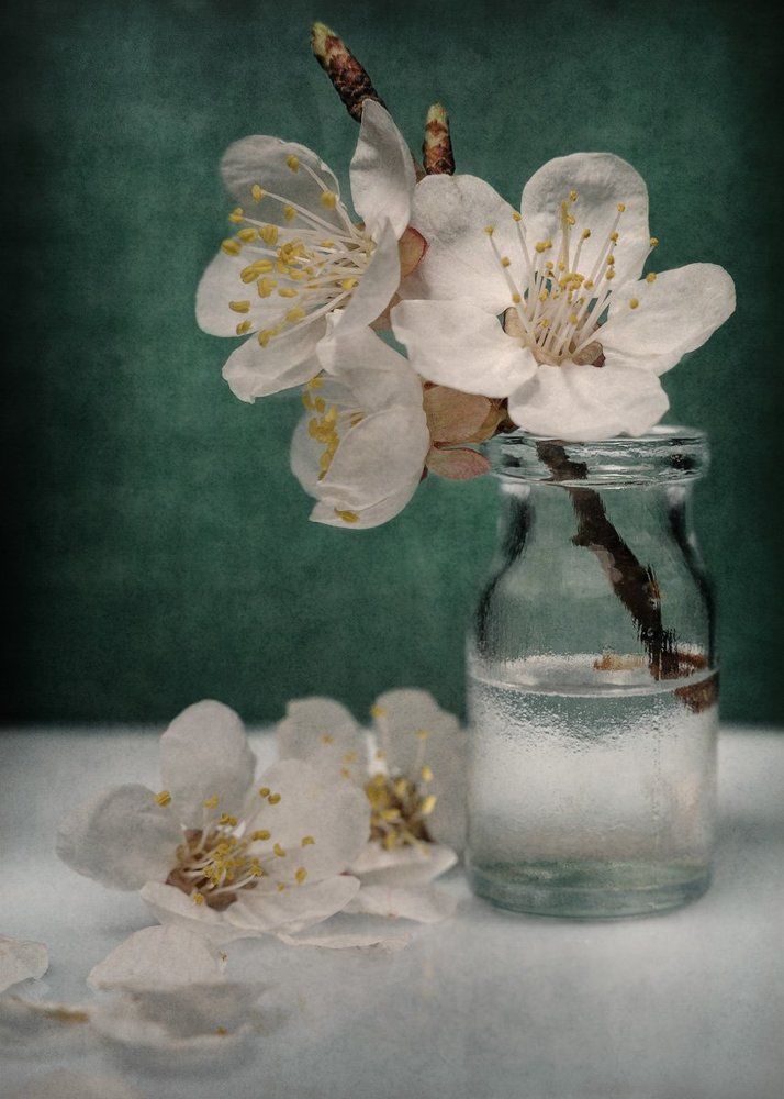 Sprig with a flower in a vial