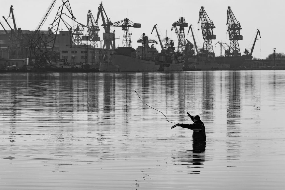Кошка в поисках рыбной клетки