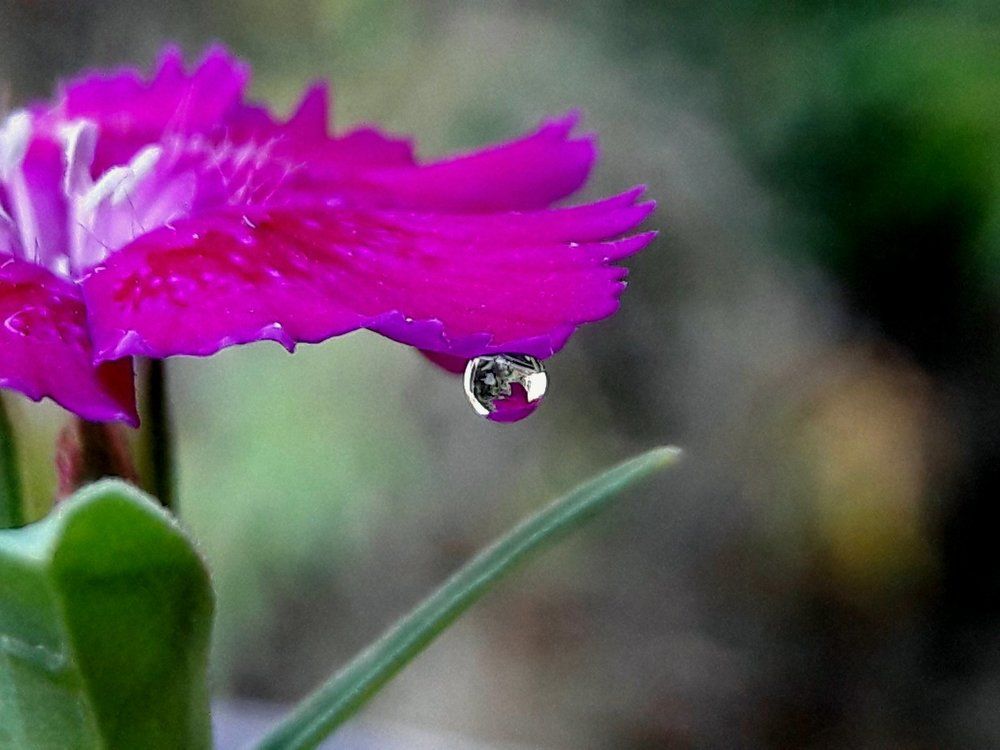 Cute Reflection