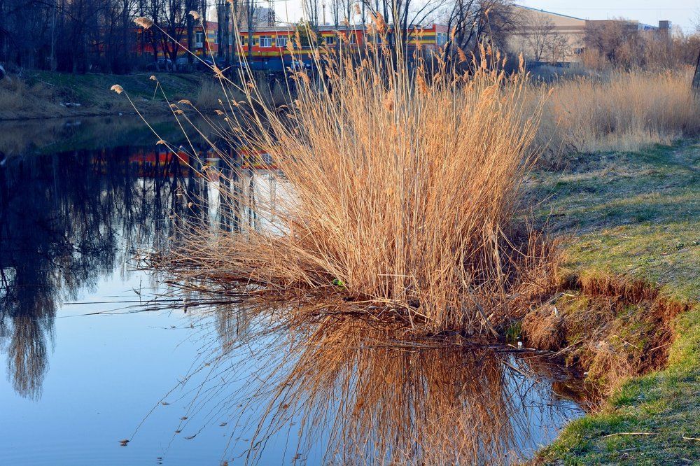 На городском озере в апреле