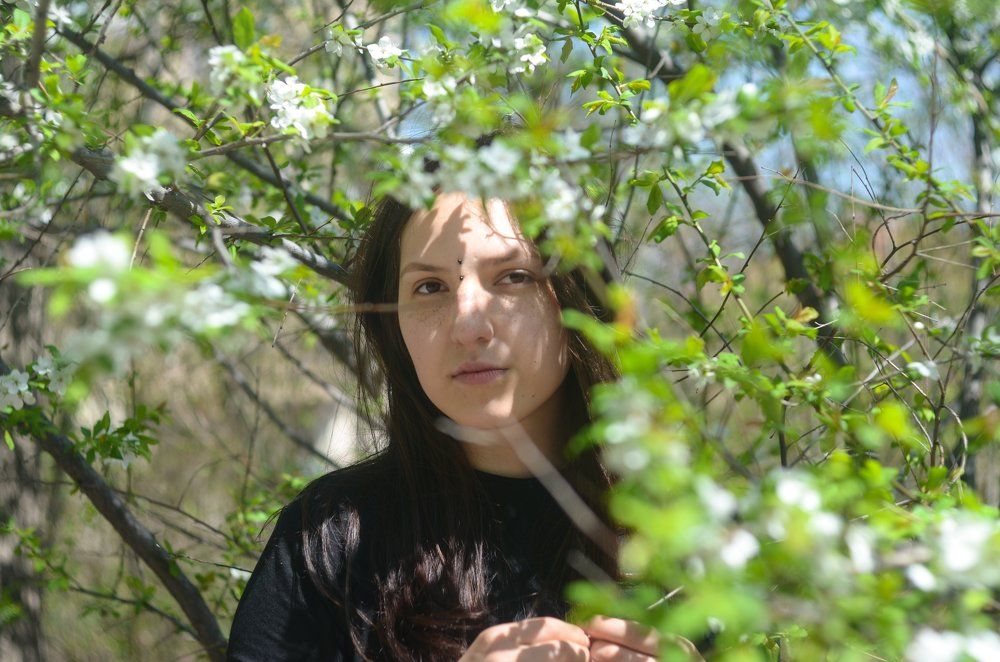 яблоневый цвет