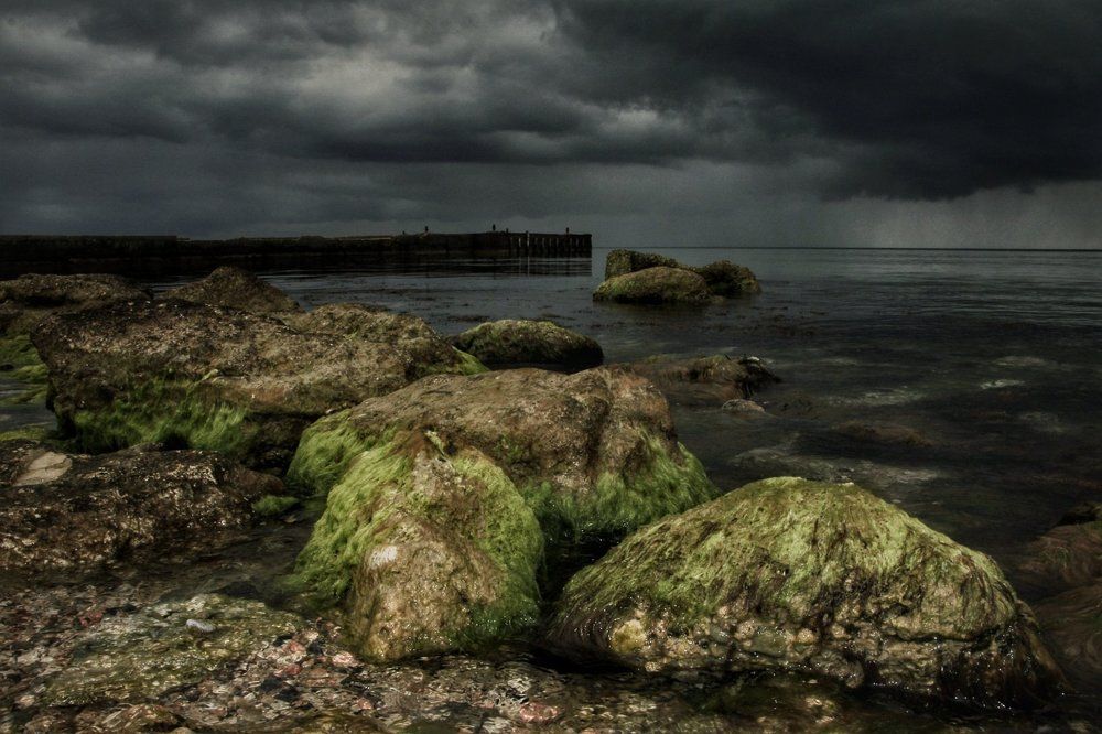 Перед грозой