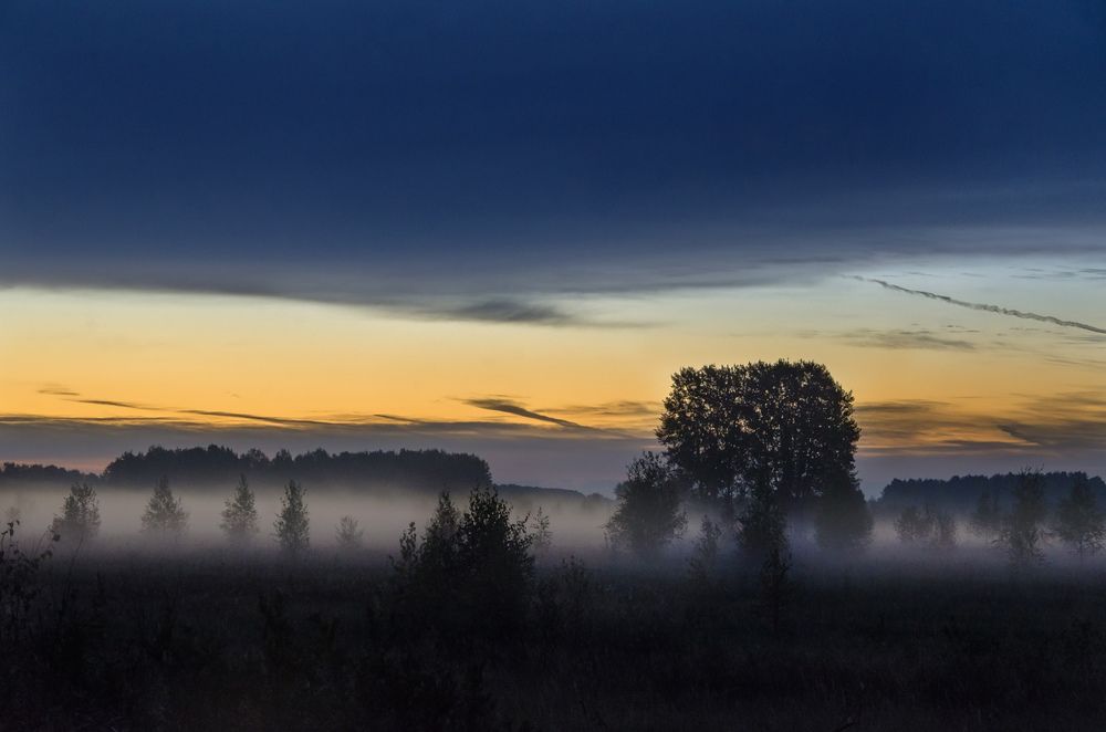 Туманное утро