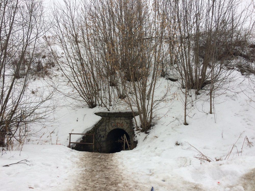 Дверь в неизвестность