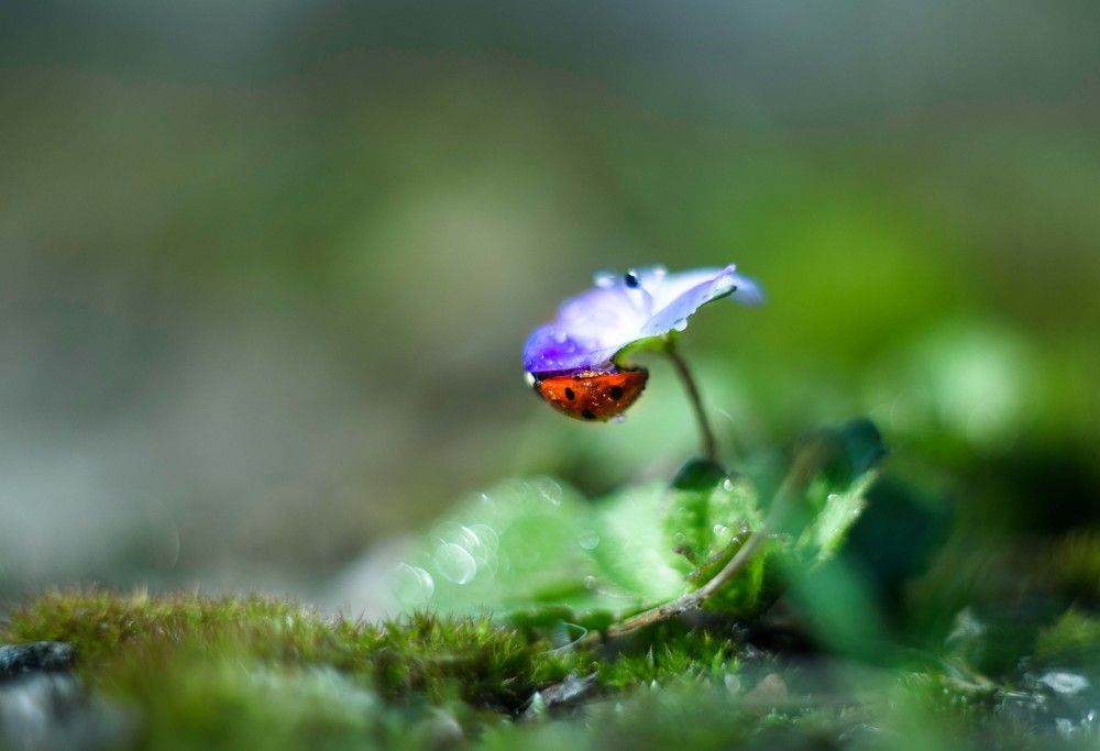 Спряталась)