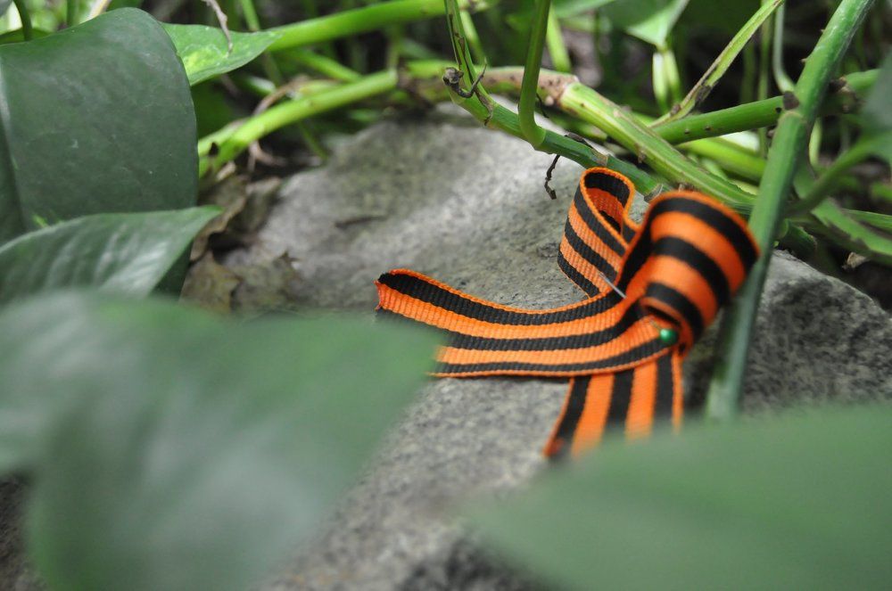 В преддверии победы