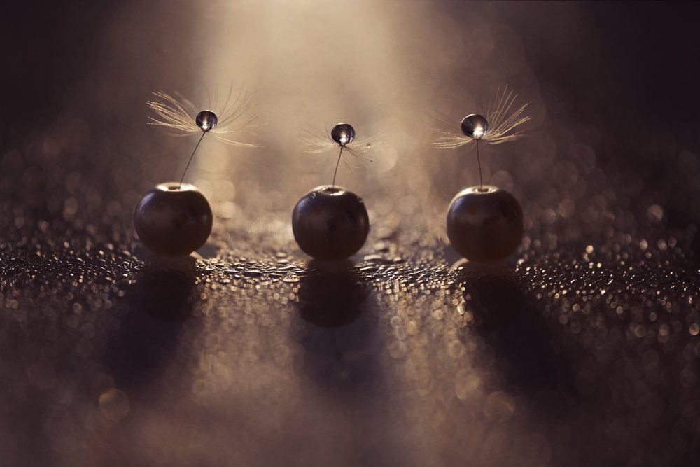 Три пушинки в бусинке