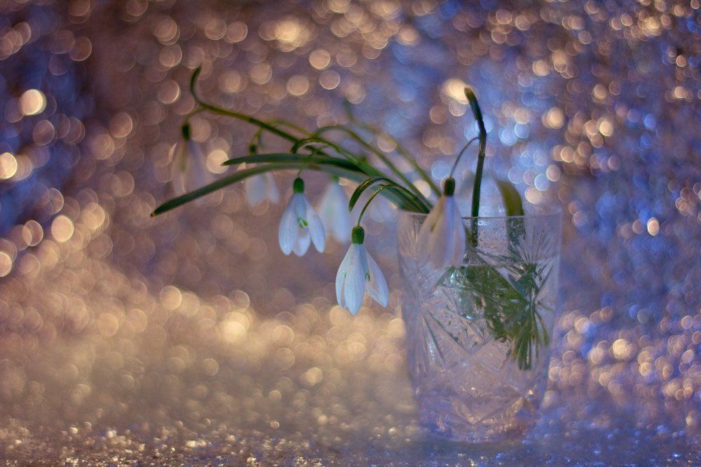 Волшебный цветок