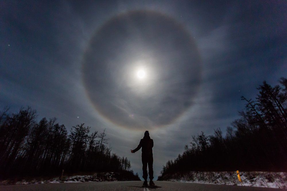 Дорога домой