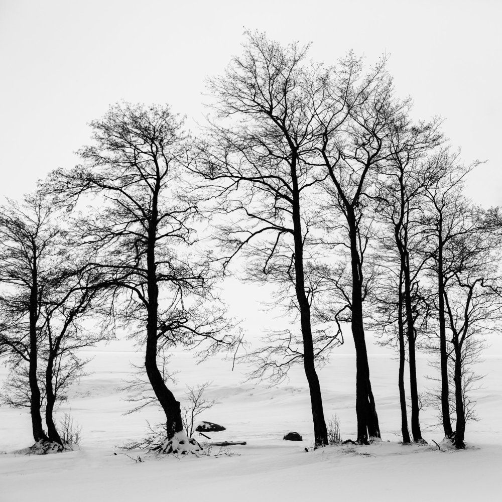 Зимний этюд