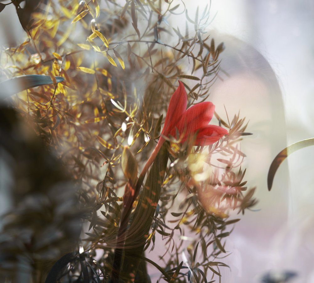 с природой одно целое