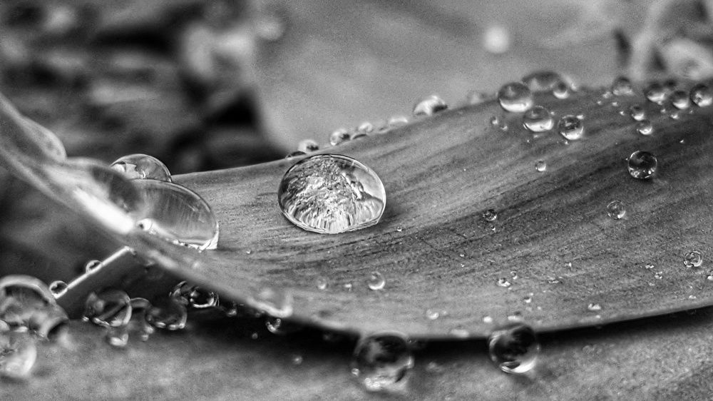 Raindrop
