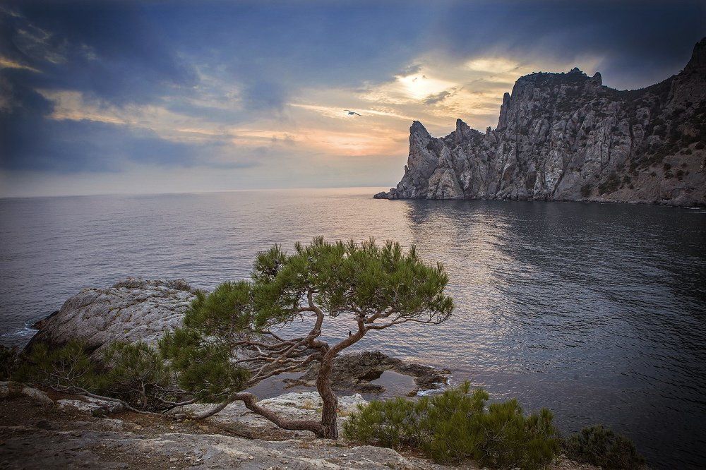 Вечер в Царской бухте