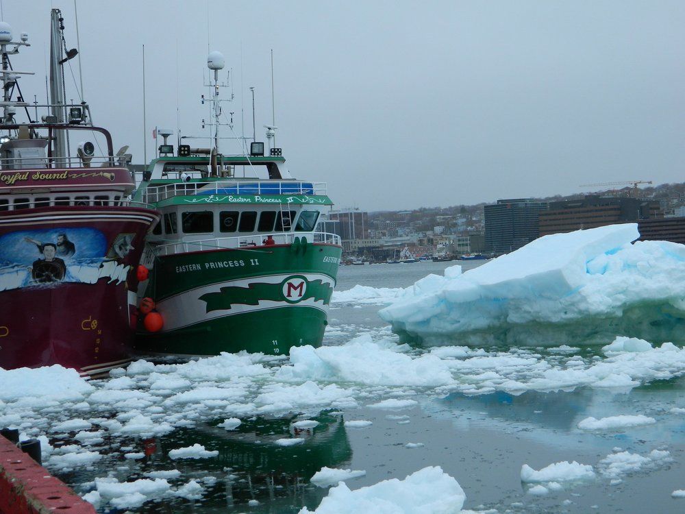 St. John's Harbor