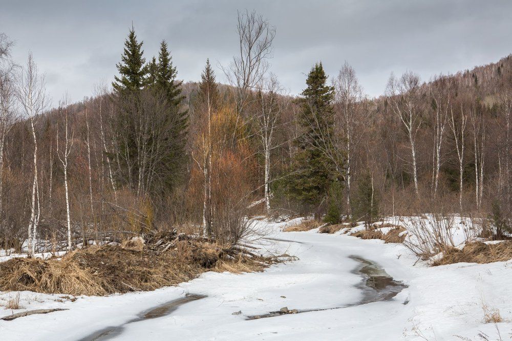 Апрельские проталины.