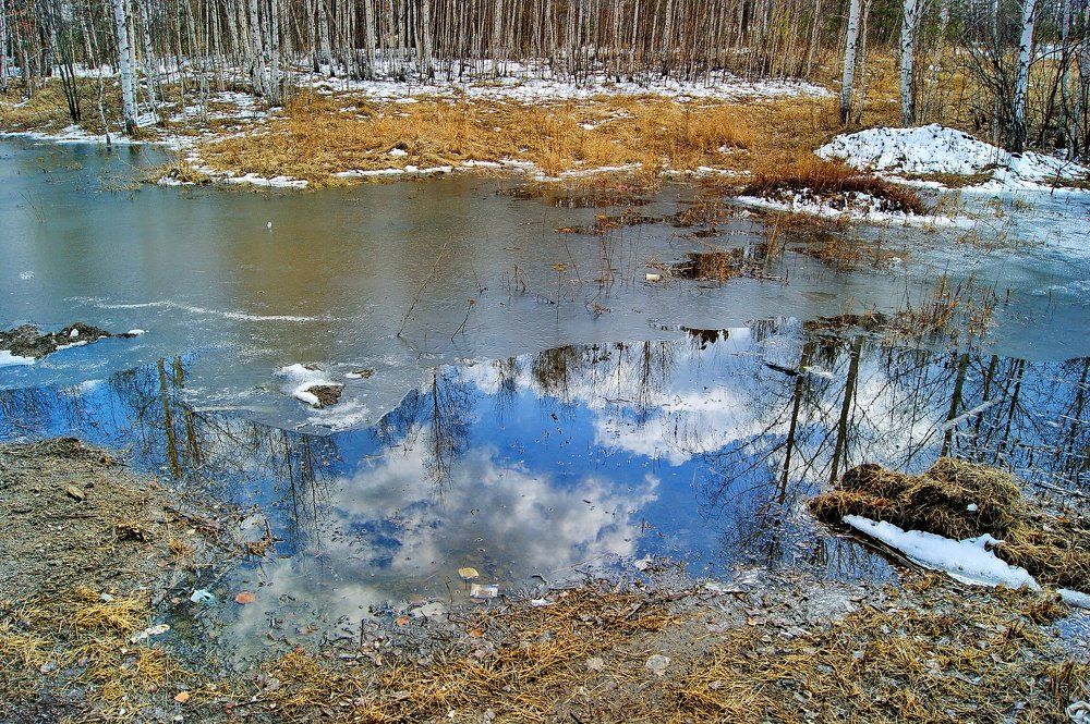 Photograph by Александр