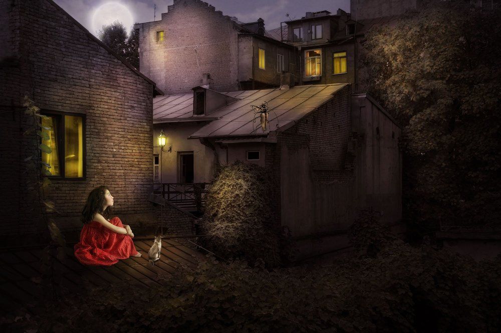 Скрипач на крыше