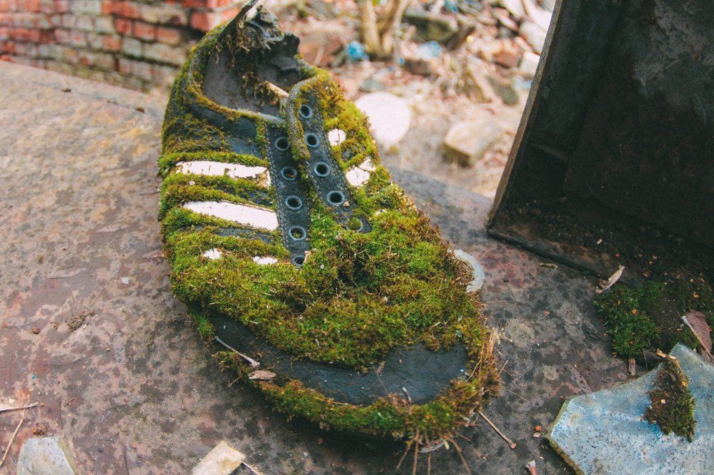 Весна пришла