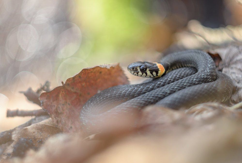 После пробуждения