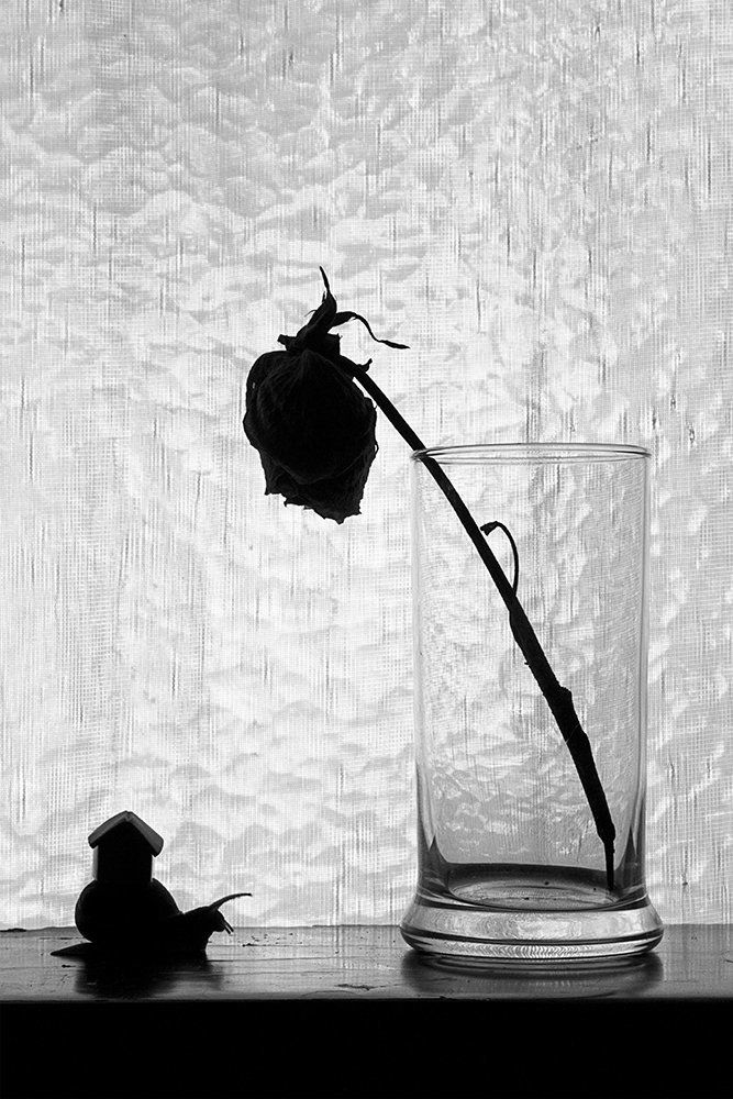 Conversaciones sobre nostalgia