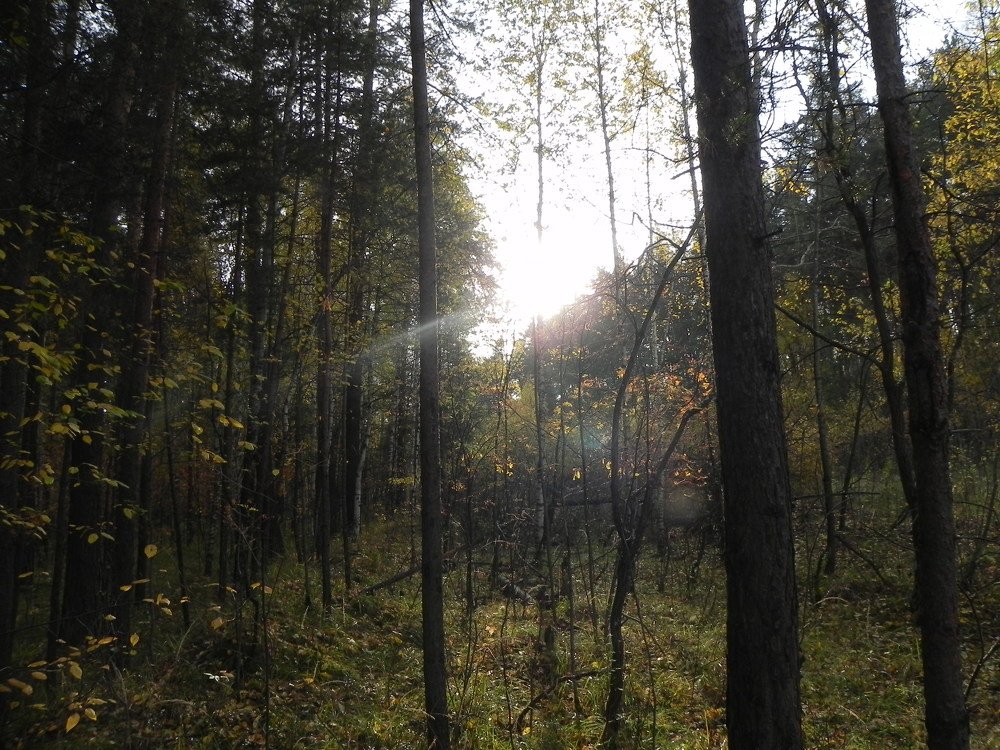 Photograph by Aristenko Evgeny