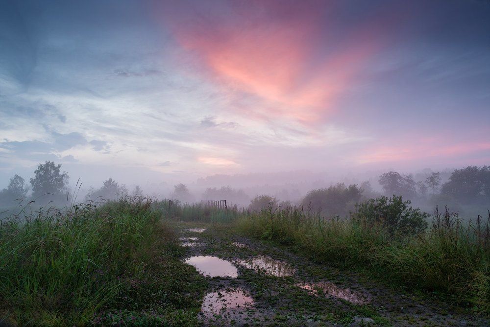 Дорожка в туман