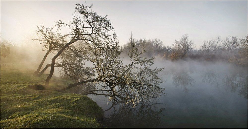 Весеннее утро на теплой протоке..