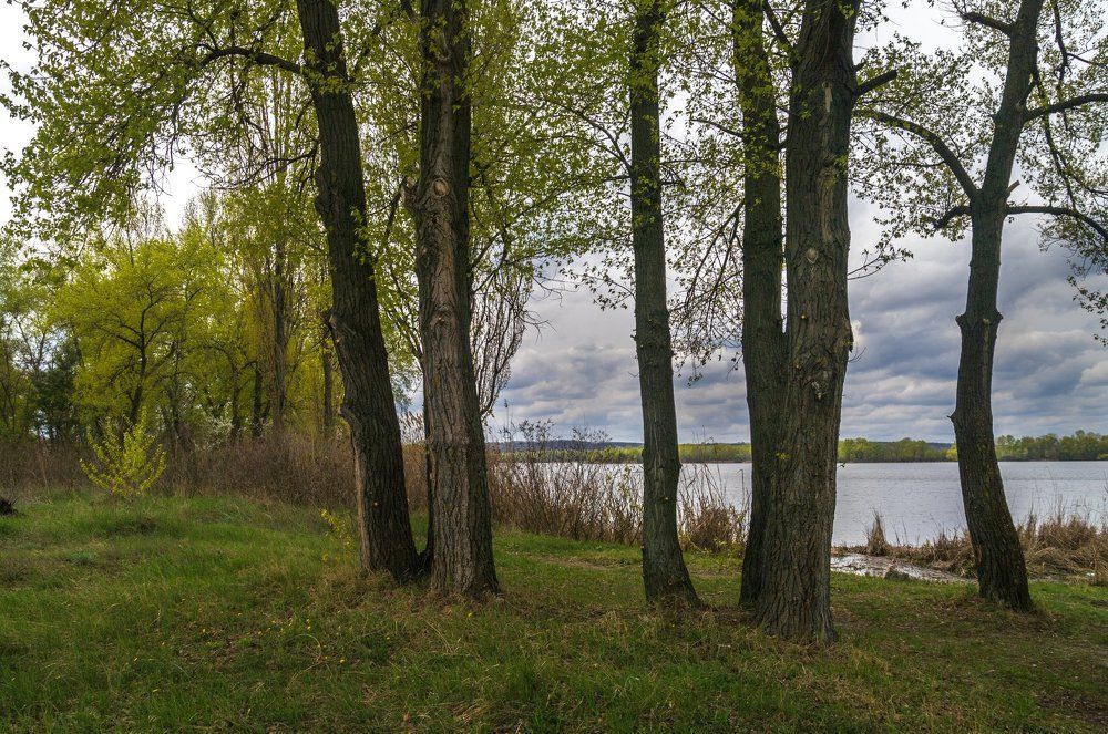 Холодная весна