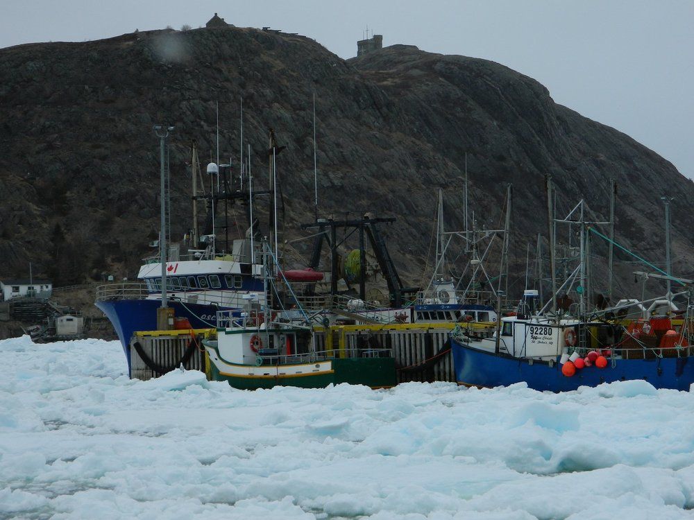 Ice Filled Harbor