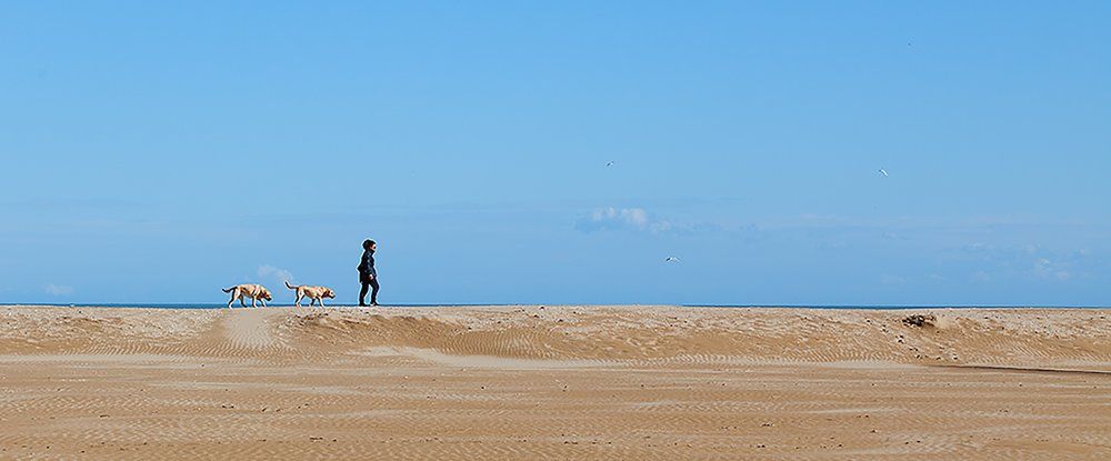 Woman with dog on the beach.