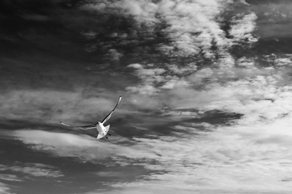 Photograph by Alexander Nazarina