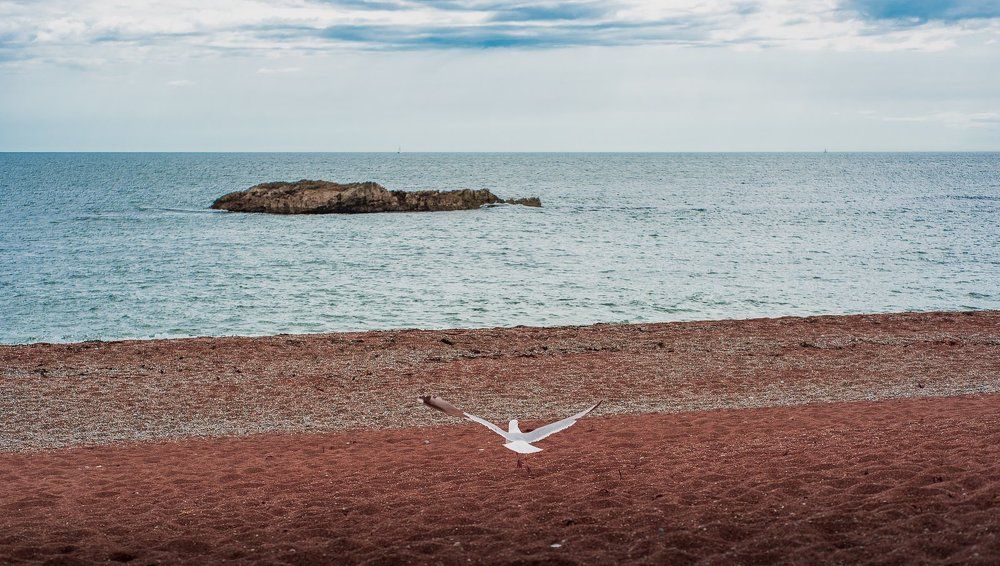 Photograph by Софиа Anders