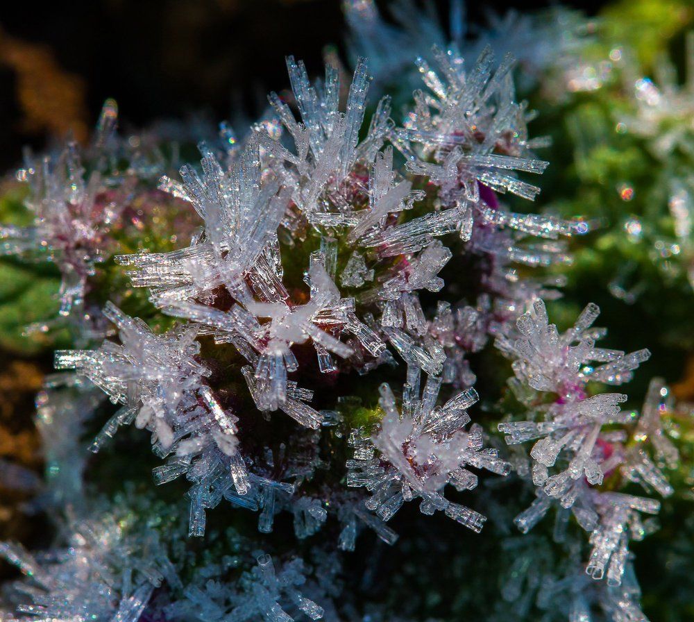 апрельские  узоры